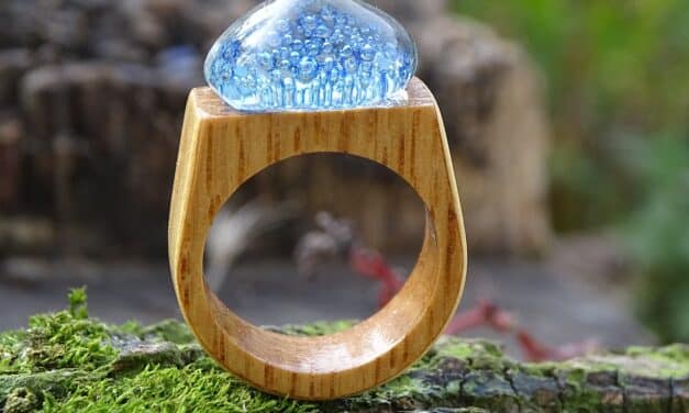 Descubre el significado de los anillos de madera