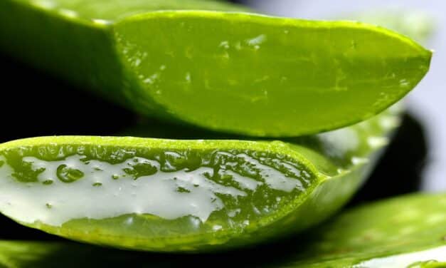 Beneficios del aloe vera