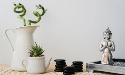 Añade un toque zen a la decoración de tu hogar